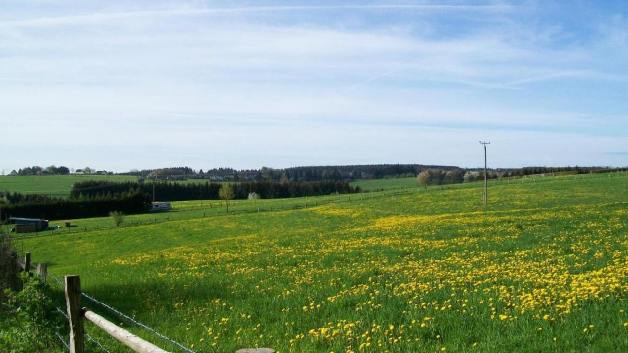 AreaSummer20KM AreaSummer20KM